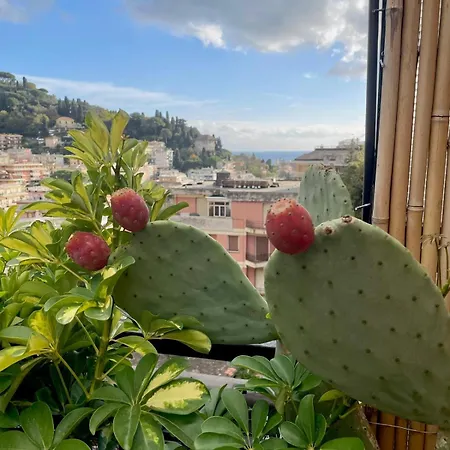 Apartman Sky Garden Maria Jose Liguria - Attico Vista Mare - Terraces - 2 Bagni- 2 Da Letto - Box, Wi-fi, Idromassaggio Free Inteiro Attico Per Voi, Con Ascensore Rapallo