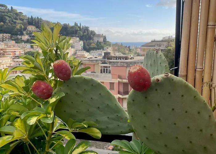Apartament Sky Garden Maria Jose Liguria - Attico Vista Mare - Terraces - 2 Bagni- 2 Da Letto - Box, Wi-fi, Idromassaggio Free Inteiro Attico Per Voi, Con Ascensore Rapallo