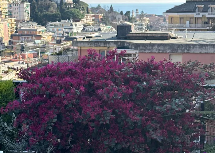 Apartament Sky Garden Maria Jose Liguria - Attico Vista Mare - Terraces - 2 Bagni- 2 Da Letto - Box, Wi-fi, Idromassaggio Free Inteiro Attico Per Voi, Con Ascensore Rapallo