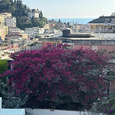 Lägenhet Sky Garden Maria Jose Liguria - Attico Vista Mare - Terraces - 2 Bagni- 2 Da Letto - Box, Wi-fi, Idromassaggio Free Inteiro Attico Per Voi, Con Ascensore Rapallo